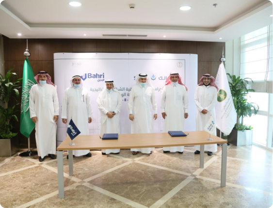 تأسيس الشركة الوطنية للحبوب